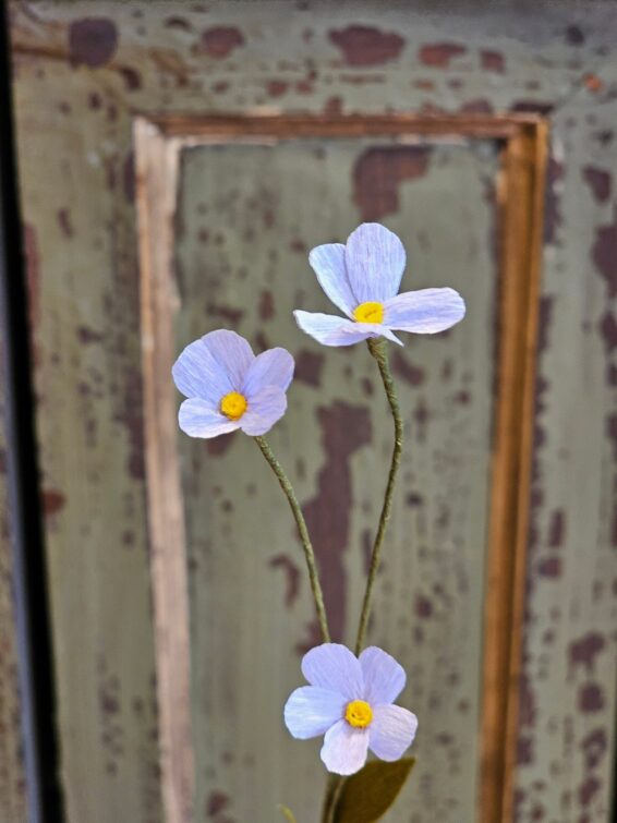 Twee lila papieren cosmea’s tegen verweerd hout.